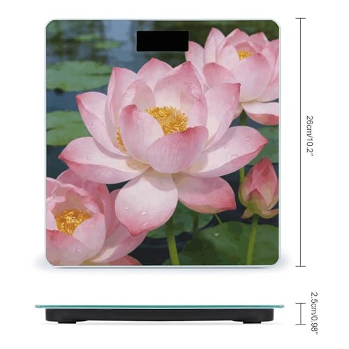Báscula digital Clear Lotus con pantalla LCD grande miniatura 2