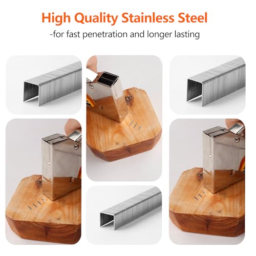 Image of Heavy Duty T50 Staples 3520-Count 4 Sizes 304 Stainless Steel