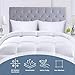 Utopia Bedding Comforters Queen Size, All Season Duvet Insert, Down Alternative Box Stitched Bed Comforter with Corner Tabs, Machine Washable (White)