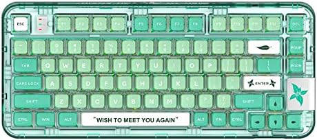 YUNZII Coolkiller CK75 Wireless Hot Swappable Mechanical Keyboard, Transparent Acrylic Gasket Mounted Keyboard for for Windows/Mac(Meow Switch,Mint Green)