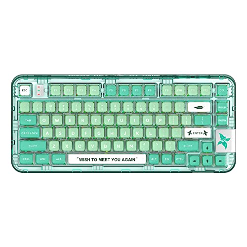 YUNZII CK75 Gaming Keyboard, Wireless Hot Swappable Mechanical Keyboard for Gaming, Home, Transparent Gasket Mounted Keyboard for Windows, Mac(Glory Switch,Mint Green)