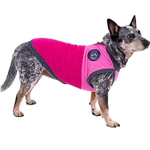 Pickorruchos Roupa Jacquard Tricolor Cinder Para Cães - Tamanho 10