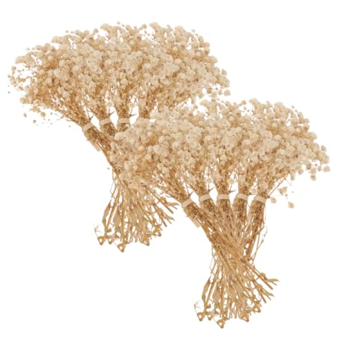 Ramo de flores secas Babysbreath para decoración
