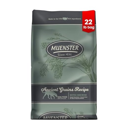 Muenster Ancient Grains Chicken Dry Dog Food, 22lb - Gluten-Free, High Protein, Digestive Support