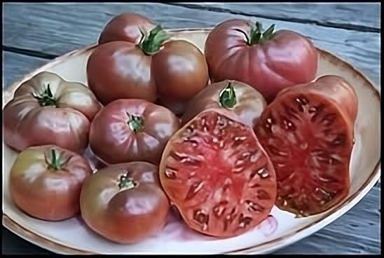 Tomato Cherokee Purple Great Garden Heirloom Vegetable by Seed Kingdom Bulk 1 OZ Seeds