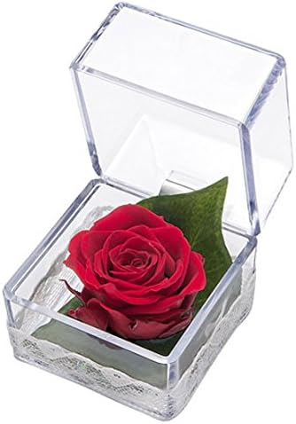 Millennium Art Pre-Q Arrangement Red PZ700R