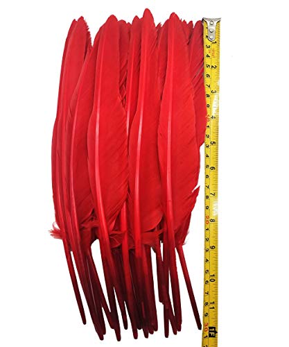 Lwingflyer 25Pcs Red Long Goose Feathers 10-12 Inch For Crafts Diy Wedding Party Home Decorations Accessories Pen Feathers #TOP6