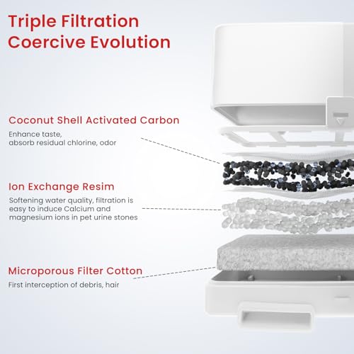 Best Automatic Pet Water Dispenser For Multi Cats