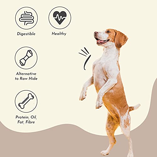 Purplebone Venison Shank Bone Dog Treats, Pack of 1, Dog Bone Treats for Medium or Small Breeds | 100% Natural, Light & Tasty Sticks | Free From Hormones, Additives Or Antibiotics - Image 8