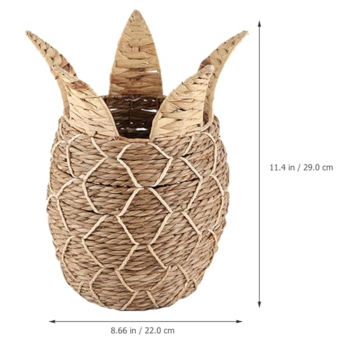 Panier tressé d'ananas multifonction, rangement bureau en fer