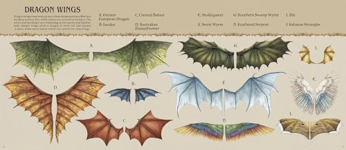 Image of A Natural History of Dragons (Folklore Field Guides)