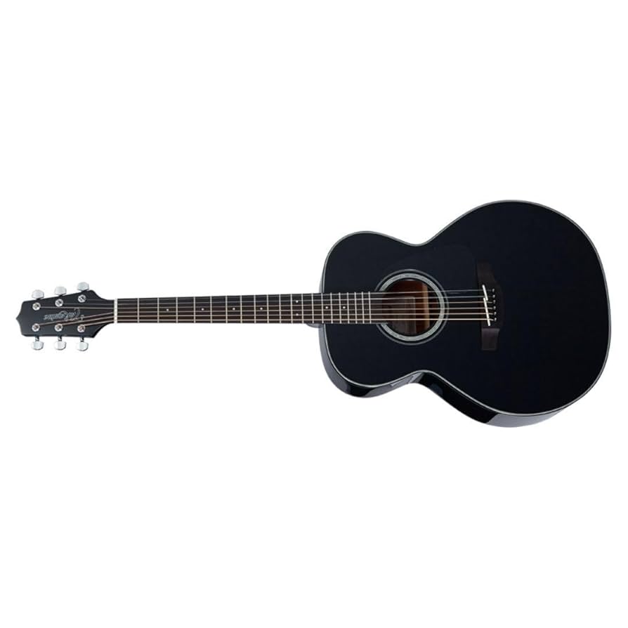 Amazon.co.jp: Takamine タカミネ GN30-BLK Nex