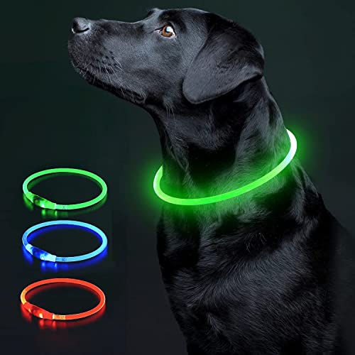 COOL PAWS Collare per cani con luce LED verde – ricaricabile tramite USB, taglia unica, collare regolabile con 3 impostazioni di luminosità per passeggiate notturne, resistente all'acqua e durevole,