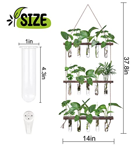 Xxxflower Wall Hanging Propagation Station With Wooden Stand 5 Glass Test Tubes 3 Tiered Planters Wall Terrarium For Home Office Plant Hanger Flower Vases Wall Decor Hydroponic Cuttings #TOP1