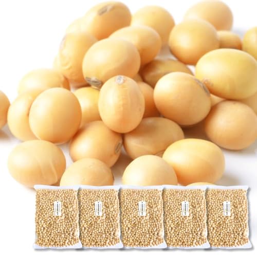 ߘa6NY ߂̎q 哤 I 嗱 kCY哤 4.5kg (900g×5) ̎q Y `bNt  Ɩp