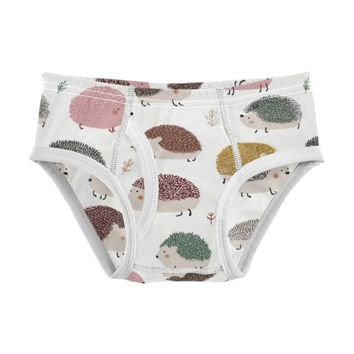 Wusikd Cute Hedgehogs Boys' Underwear Cotton Boys Briefs Soft Toddler Underwear 2T - Main Image