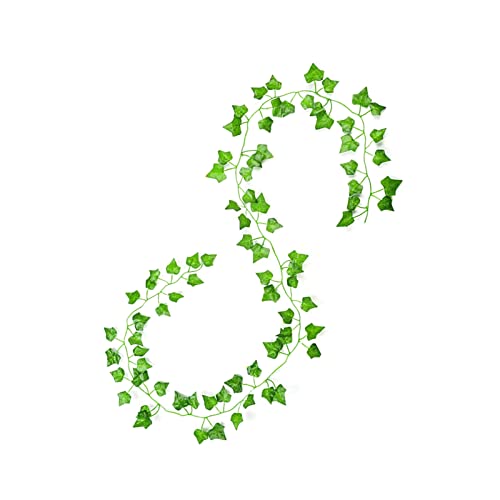 �l�H�A�C�r�[���[�t�K�[�����h�A12�p�b�N2.2M�t�F�C�N�A�C�r�[�̗t �A�l�H�A�C�r�[�K�[�����h�΂̃K�[�����h�A�A�C�r�[�K�[�����h�t�F�C�N���@�C���Y�A�l�H�c�^�̗t�A�Ƃ̑䏊�̃o���R�j�[�̒�̃I�t�B�X�̌������̕ǂ̑����̂��߂̂�A�����Ԃ牺��