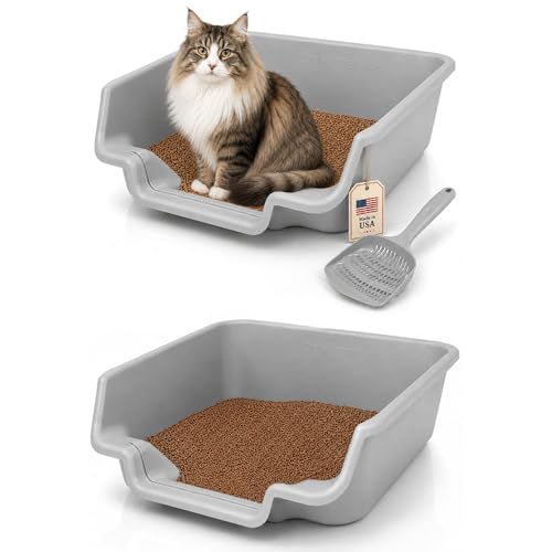 KittyGoHere Senior Cat Litter Box, Litter Pan, Jumbo 2 Pack with Scoop,Gray