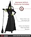 Morph Witch Costume Women, Womens Witch Costumes For Adults, Costumes For Women, Womens Halloween Costume, XX-Large