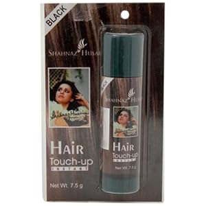 Shahnaz Husain Instand Hair Touch-Up, 7.5g – Black (Pack of 1)
