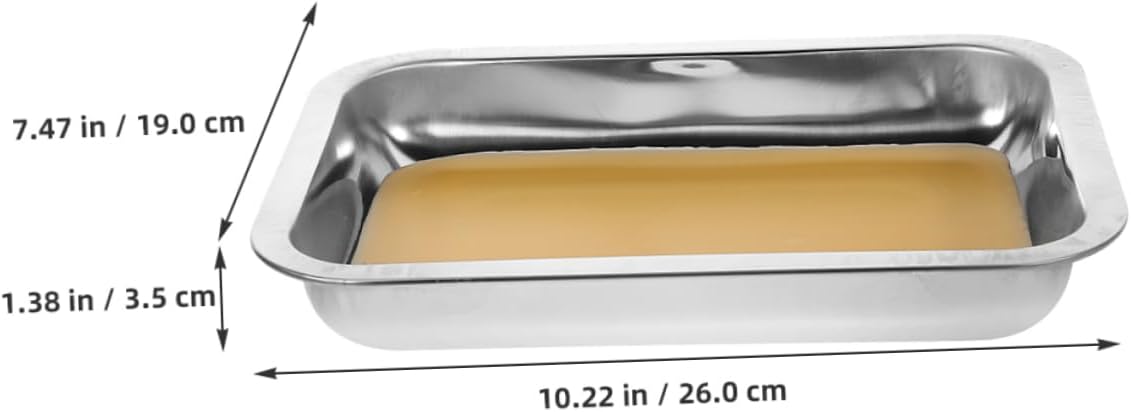 INOOMP 2pcs Stainless Steel Dissection Pan: 10x7.5inch Wax Coated Tray - Laboratory Equipment for Classroom Learning Scientific Research