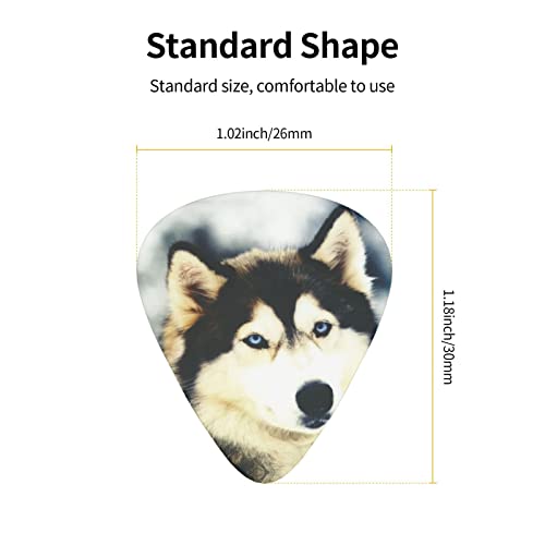 Médiators de guitare Pack de 12 médiators Husky sibérien pour guitare électrique Guitare acoustique Diverses guitares - Les Beatles, Paul McCartney, John Lennon, RIngo Starr, George Harrison Médiators de guitare Pack de 12 médiators Husky sibérien pour guitare électrique Guitare acoustique Diverses guitares – Image 4