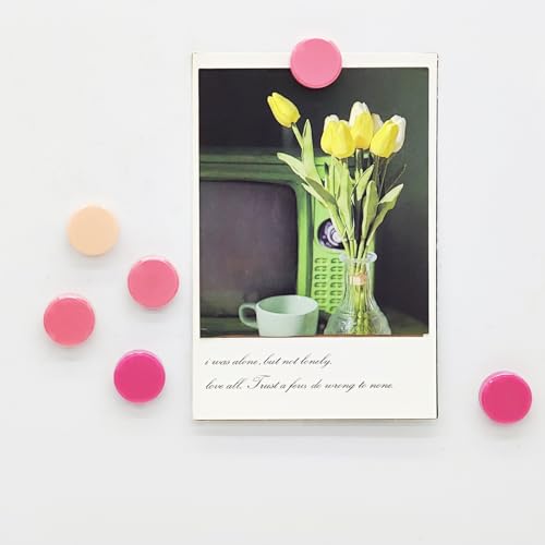 Juego de 30 imanes decorativos redondos para frigorífico miniatura 7