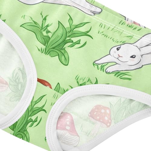 Lawn Rabbit Green Little Girl Panties Toddler Girls Underwear Cotton Stylish Kids Undies Briefs 2t4
