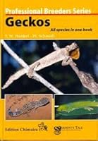 Geckos - all species in one book 3930612720 Book Cover