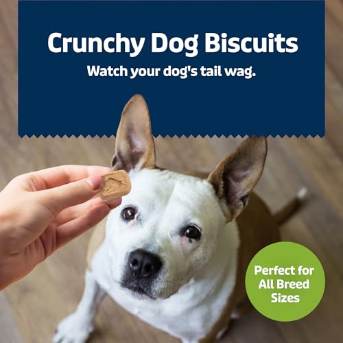 Image of Blue Buffalo Health Bars Apples & Yogurt Mini Dog Biscuits, 32 oz | Smaller Bite, Same Crunch, Oven-Baked, No Chicken By-Product, Corn, Wheat, or Soy