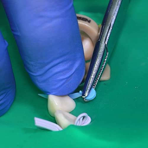 Cotisen Sectional Matrix Dental Band Wire Mouth With Silicone Clearance Wedge Wooden Guard Tooth Clamping Ring Anti-Stick Material(Medium) #TOP3