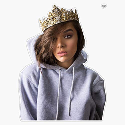 Amazing Hailee Steinfeld High Def Pic Sticker Vinyl Decal Wall