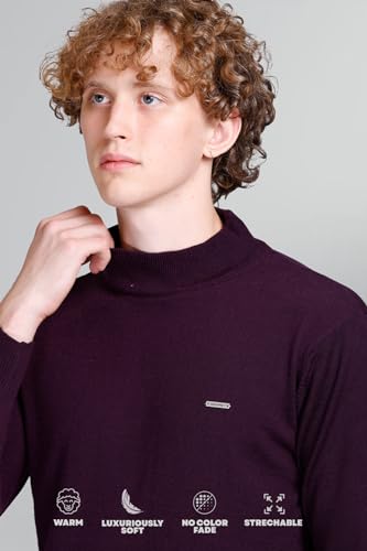 Image of GODFREY Woolen Full Sleeve Sweaters for Men Winter Wear - Turtle Neck Pullover for Men Stylish