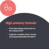 Metabolic Maintenance B-Complex - Supports Energy, Circulation & Nerve Health - Methylated B Vitamins with Choline and Inositol - 90 Servings - 90 Capsules