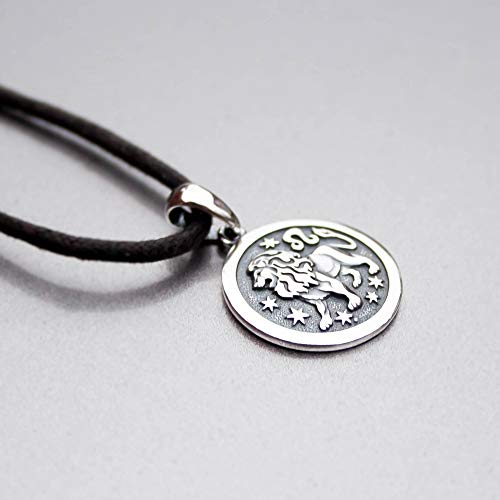 Zodiac Sign Pendant Necklace 925 Sterling Silver Horoscope Medallion Coin Disc Choker Charm Constellation Astrology Jewelry for Men Women2