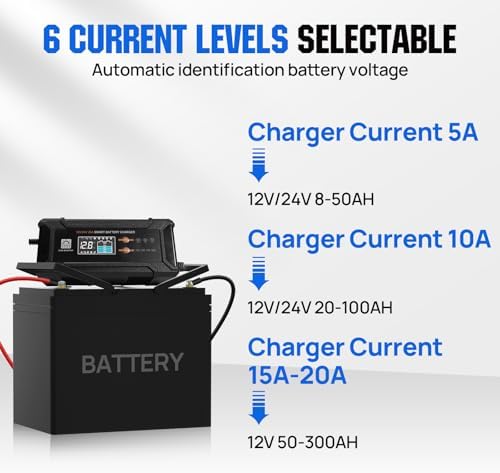 ECO-WORTHY 12V/24V 20A LifePO4 Lithium Battery Charger 14.6V Automatic Smart & Maintenance with Anderson Connector for Lithium (LiFePO4) and Lead Acid Battery, Boat, RV - 2
