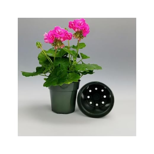 GARDEN TRENDS Dillen 6" Round Plastice Pots (12)