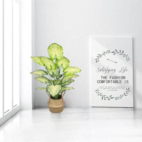 Image of Dekorly Plastic Artificial Palm Plants Leaves Faux Turtle Leaf Fake Monstera Tropical Large Palm Tree Leaves Outdoor Leaf Decorations | 26Inch Plant with Blackpot (White-Green-Leaves)