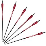 BARNETT C10 Carbon Hyperbolts 6-Pack, 10', Black