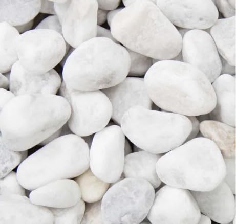 Canto Rodado Blanco 2-4cm para Decoración de Jardines y Acuarios,3kg, 5kg, 8kg, 10kg, 20kg Saco de Piedras Decorativas para Jardín y Plantas, Paisajismo y Manualidades (8, Kilogramos)