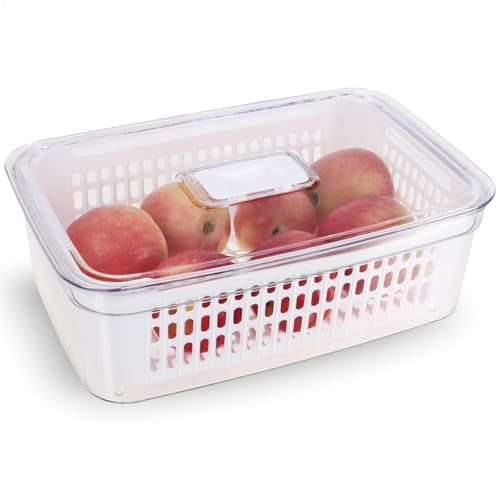 com-four® Caja de conservación de alimentos frescos con cesta insertable 3,6 L - Recipiente de plástico con tapa - Caja de almacenamiento para frutas, verduras, carne y pescado (1 pieza - 3600 ml)