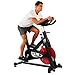 Sunny Health & Fitness Evolution Pro Magnetic Indoor Exercise Bike, Massive 44 lb Flywheel, Sturdy 330 lb Max Weight and 4 - Way Adjustable Seat / Handlebar - SF-B1714