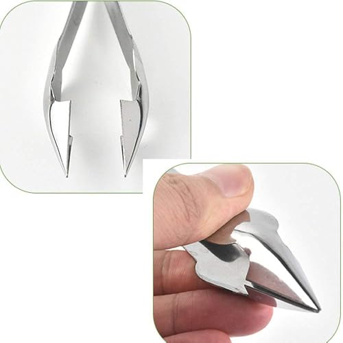 Image of Pineapple Corer Stainless Steel Pineapple Eye Remover Tool - Eye Peeler, Practical Seed Remover Clip Slicer Clip Fruit Kitchen Tool (18 /8 Stainless Steel, 2)