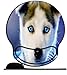 Produktbild OfFsum ergonomisches Mauspad mit Gelkissen 25,5 x 23 cm, Mauspad mit Handballenauflage für Computer/PC, Handgelenk Entlastung, Vorbeugung Sehnscheidenentzündung-Siberian Husky Huskys