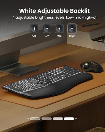 ProtoArc EK01 Plus Backlit Bluetooth Ergonomic Keyboard, Full Size, Black - 2