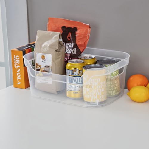 Image of STERILITE 5.25 in. X 9.5 in. X 13 Clear Plastic Cube Storage BIN W /Carry Handles, 16