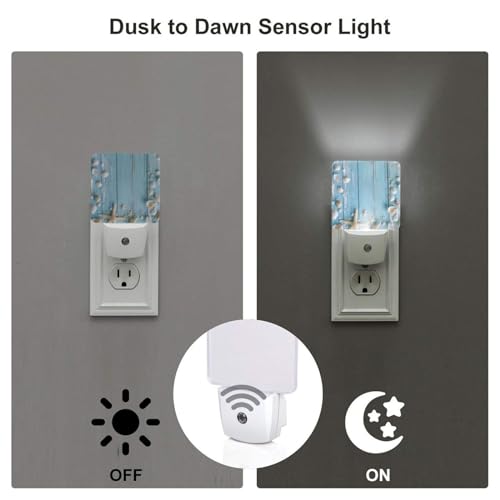 Image of Starfish Blue Board LED Plug-in Night Lamp 2 Piece Set, Auto Sensor Seashells Nightlights Set of 2 for Bedroom Bathroom Stairs
