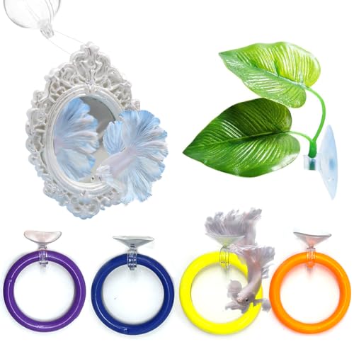 Gucvdnple 6 Pcs Betta Toy Set