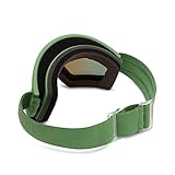 ELECTRIC HEX Schneebrille 2023 Matte Moss/Gold Chrome