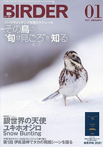 無料電子書籍 アプリ BIRDER(バーダー)2021年1月号 その鳥の“旬な見ごろ